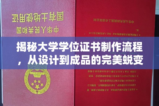 前进揭秘大学学位证书制作流程，从设计到成品的完美蜕变