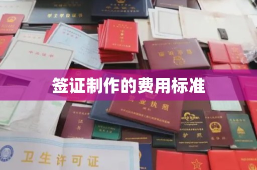前进签证制作的费用标准